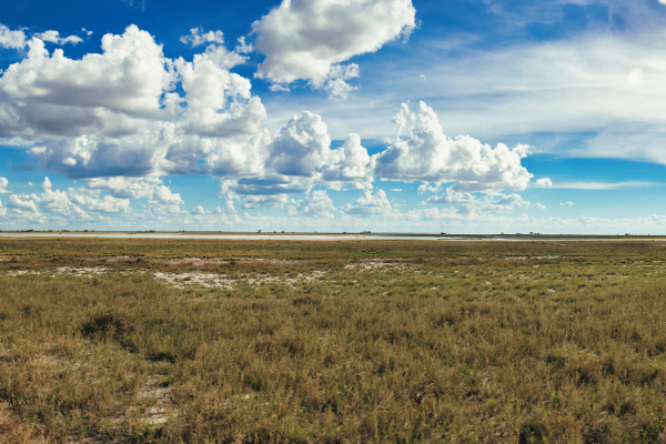 Zona da América do Sul: O Desafio de Viver em uma Região Semi-Árida