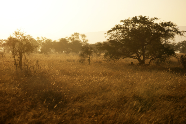 Clima da Ásia: De Monções a Invernos Secos