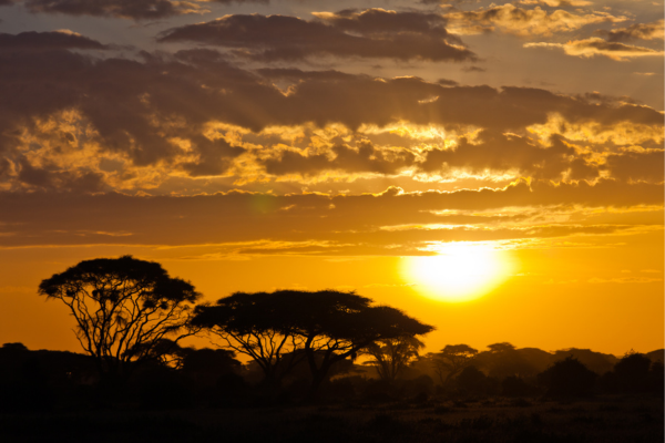 Zona da América Central: Explorando o Clima Tropical e sua Diversidade Biológica